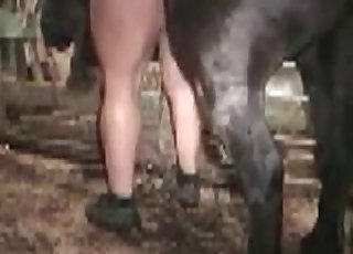 MIFL med en stram hul fucking en hest