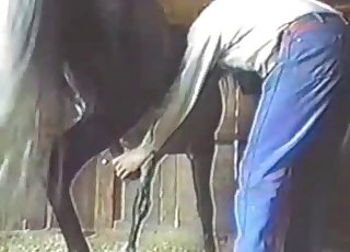 Bestiality video featuring a hung horse - 動物園セックスポルノチューブ。 