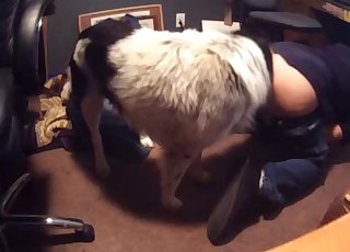 Impromptu bestiality video for you