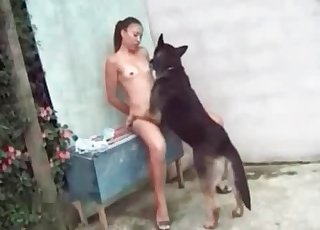Yavru