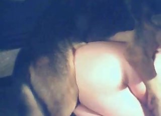 Doggy style romp with a horny dog