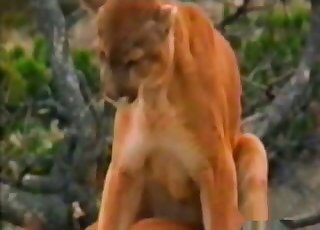 Outdoors action with real hot animals