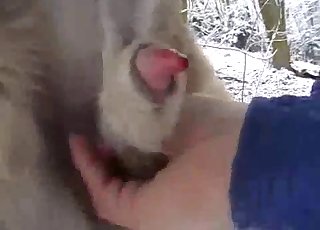 Wintertime outdoors bestiality sex