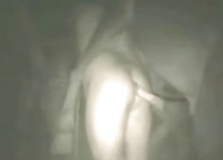 واحدة من أرقى مشاهد الزو في التاريخ، حميمية وجاذبية فائقة