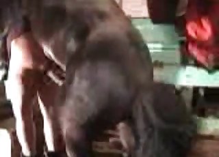 Ein krankhaft fettleibiger Zoophiler wird gleich gefickt
