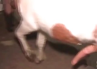 Soaking wet cunt ruined by a beast