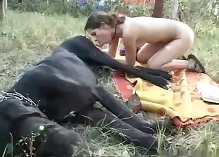 Free tier pornos Animal Porn