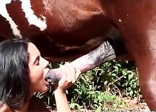 Awesome cock-sucking session at the old farm