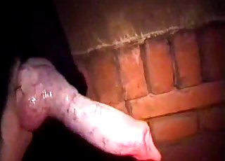 That dog cock deserves all the close-ups