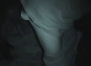 Nighttime action with kinky zoophile