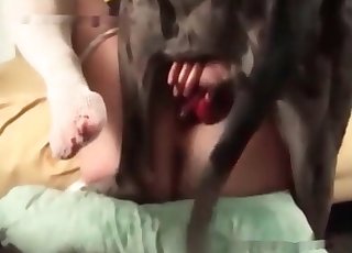 Juicy pussy licked by a horny dog, wet tongue and sweet taste, cinematic close-up, highly detailed t