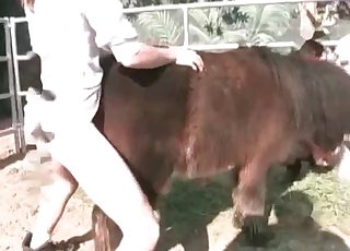 Passionate animal fucked hard by zoophile