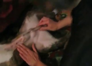 Dog gets real dirty on camera