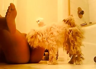 Kinky doggy is licking her wide-opened cunt