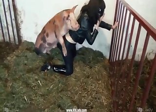 Real pig wants to fuck her tight cunt حديقة الجنس أنبوب الإباحية 