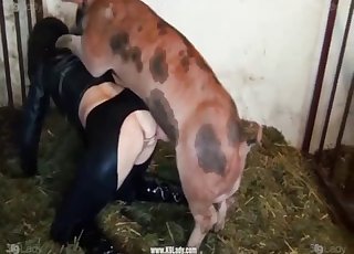 Schwein porn