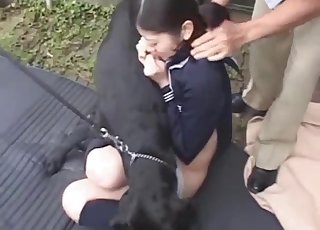 Prostitute sucks a sweet dog's dick