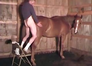 Sweet horsy and some wild sex