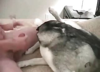 Asshole penetration for a nice-looking innocent doggy