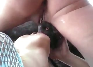 Sweet bestial fuck with a nice zoofil