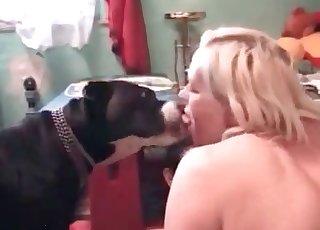 Bedroom sex with a hot dog