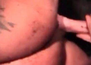 Big ass zoophile nicely banged by hardcore stallion