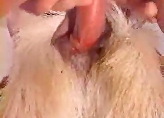 Fantastisk hund i beskidt som fuck bestialitet XXX