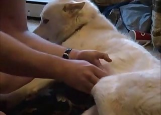 Filthy doggo is left all alone with a nasty zoophile
