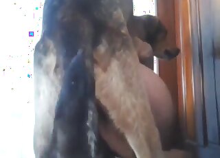 Sex with a good-looking lady, she takes it deep