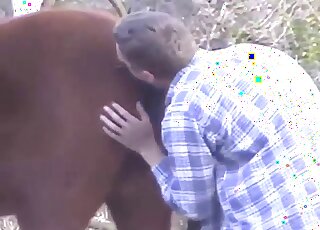 Kino scéna zoosexu: muž vášnivo trhá divokú kobyłu pod mäkkým svetlom