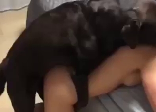 Dark-haired lady gets fucked by dog from behind