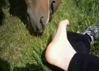 Bestiality porn + foot fetish mix, so fucking good