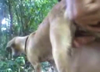 Crazy hot zoophilic experience with a sexy dog