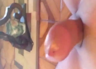 POV sesso bestiale con animale che succhia forte, lingua umida e pelle sudata in primo piano dettagl