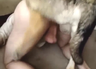 Good-looking dude lets this beast blast his ass