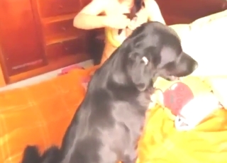 punainen hiukset hottie fuckaa koiraa, karvainen, eroottinen, 8k