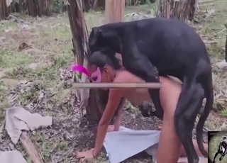 Zoo XXX highlight reel with dogs fucking women