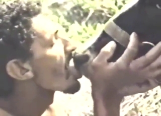 Zoo porn highlights, incl. two girls savoring cum