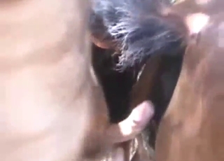 Crazy zoophile porn with domination, gape