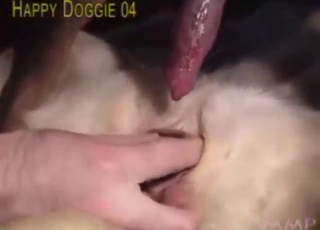 Guy shows what he can do with a canine cunt