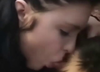 Brunette wants her dog to fuck her mouth