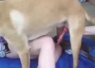 Zoophile wife is going to get fucked on all fours