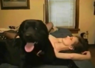 Hot blowjob for a lady from a sexy black dog