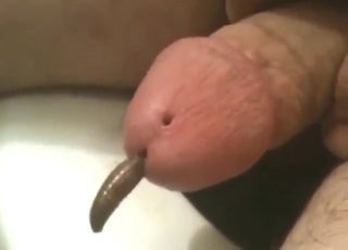 Guy wants this worm to reside in his penis