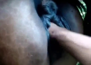 Juicy animal getting fucked by a horny dude