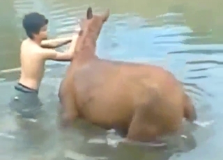 Hottest-ever zoo fuck scene with a HOT beast