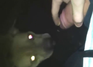 Skinny beast licking his dick and making him hot