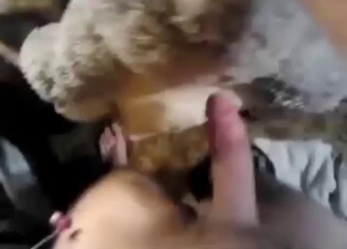 Jouet