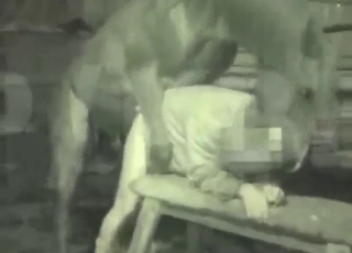 Horny animal is going to get off with a dude