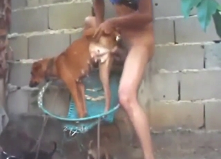 Hot animal shows what it can do with a hard D